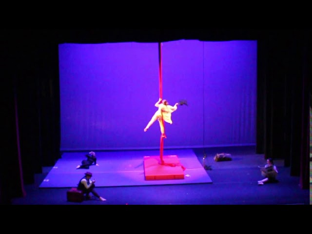 SHOW Circus Studio at First Night 2020: Aerial Fabric